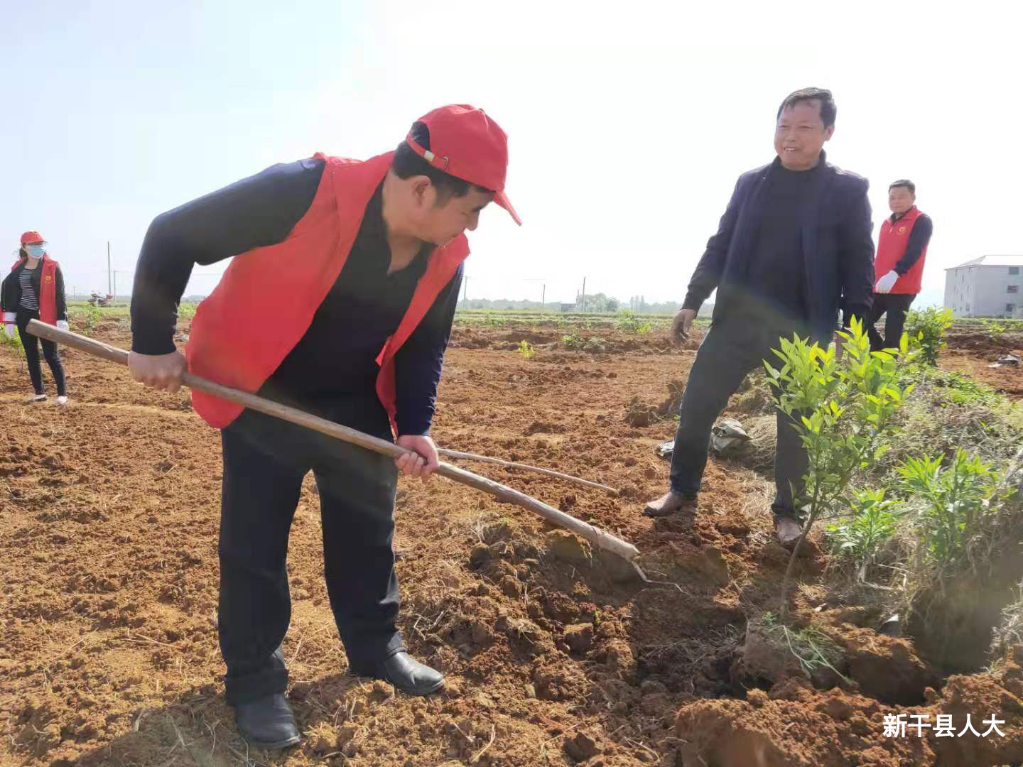 助力脱贫攻坚  界埠镇人大代表在行动