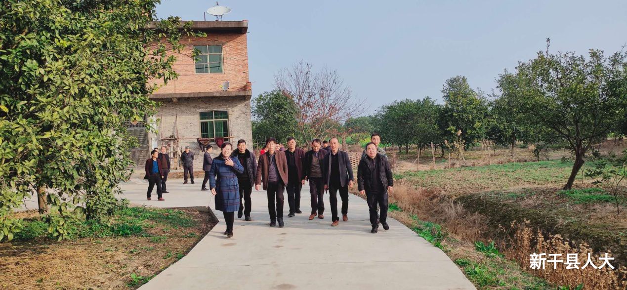 三湖镇人大开展“迎新春”人居环境整治 视察活动