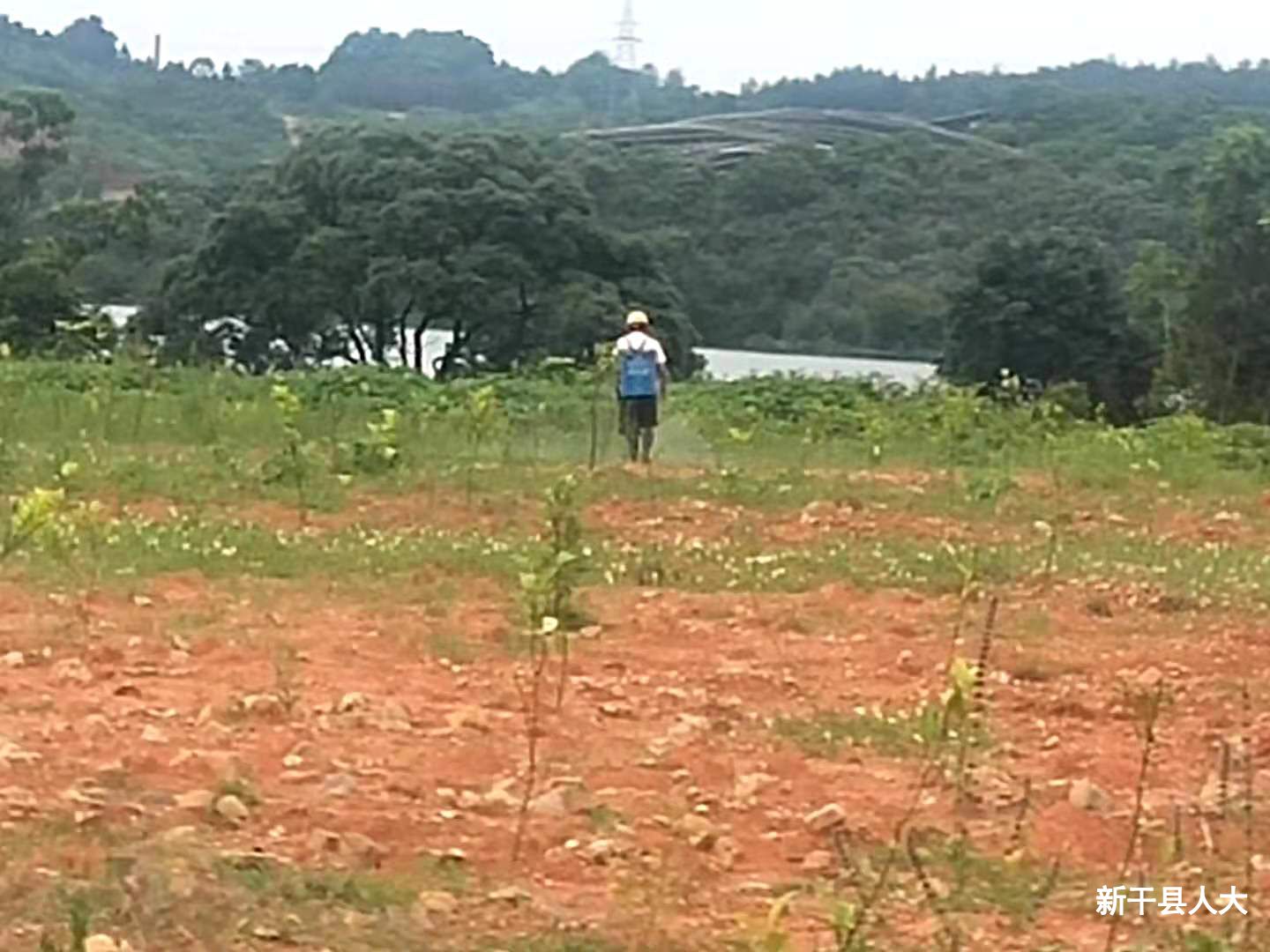 助力脱贫攻坚  界埠镇人大代表在行动