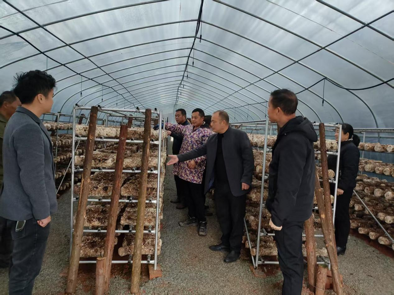 桃溪.png 桃溪.png